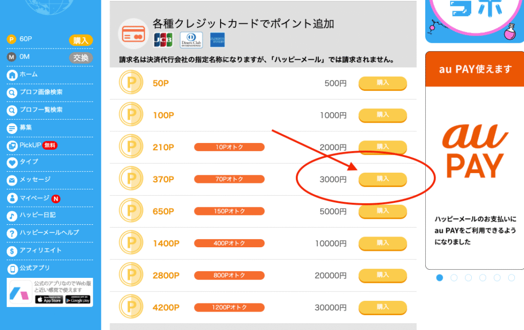 購入ポイント選択画面