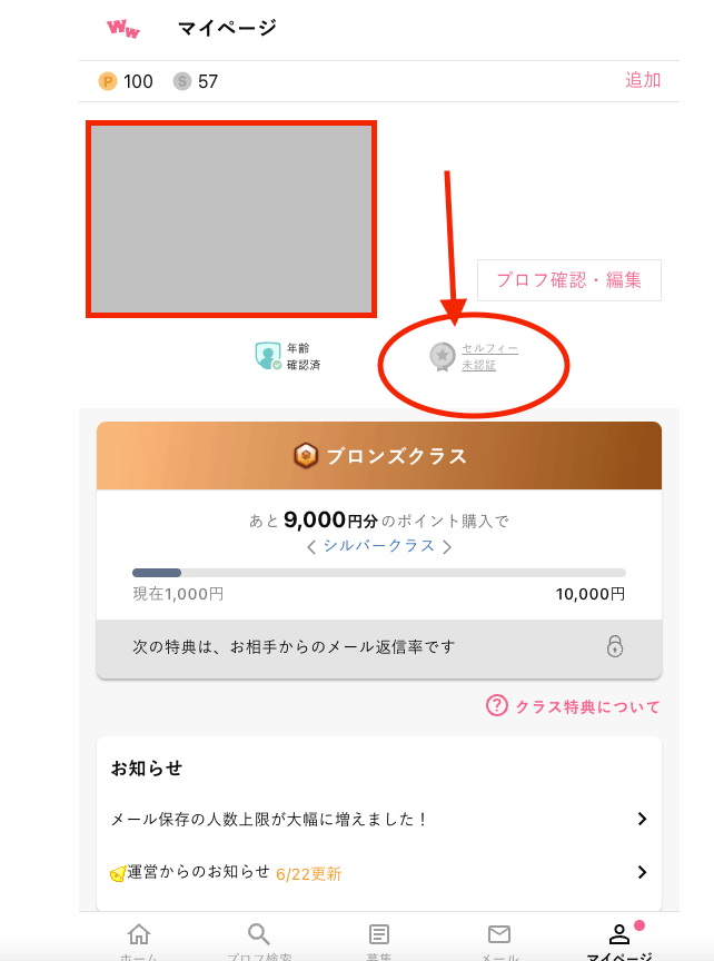 ワクワクメールのユーザーページ