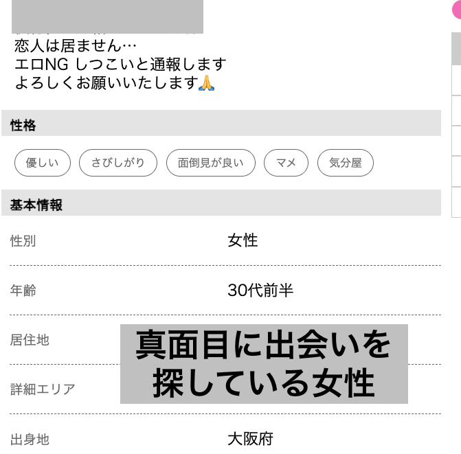 ハッピーメールで「エロNG」と書かれた自己紹介