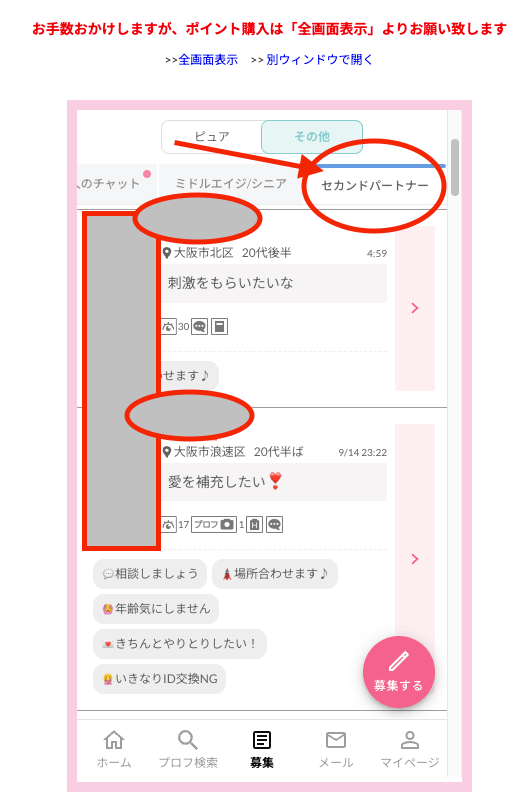 ワクワクメールのセカンドパートナー募集一覧